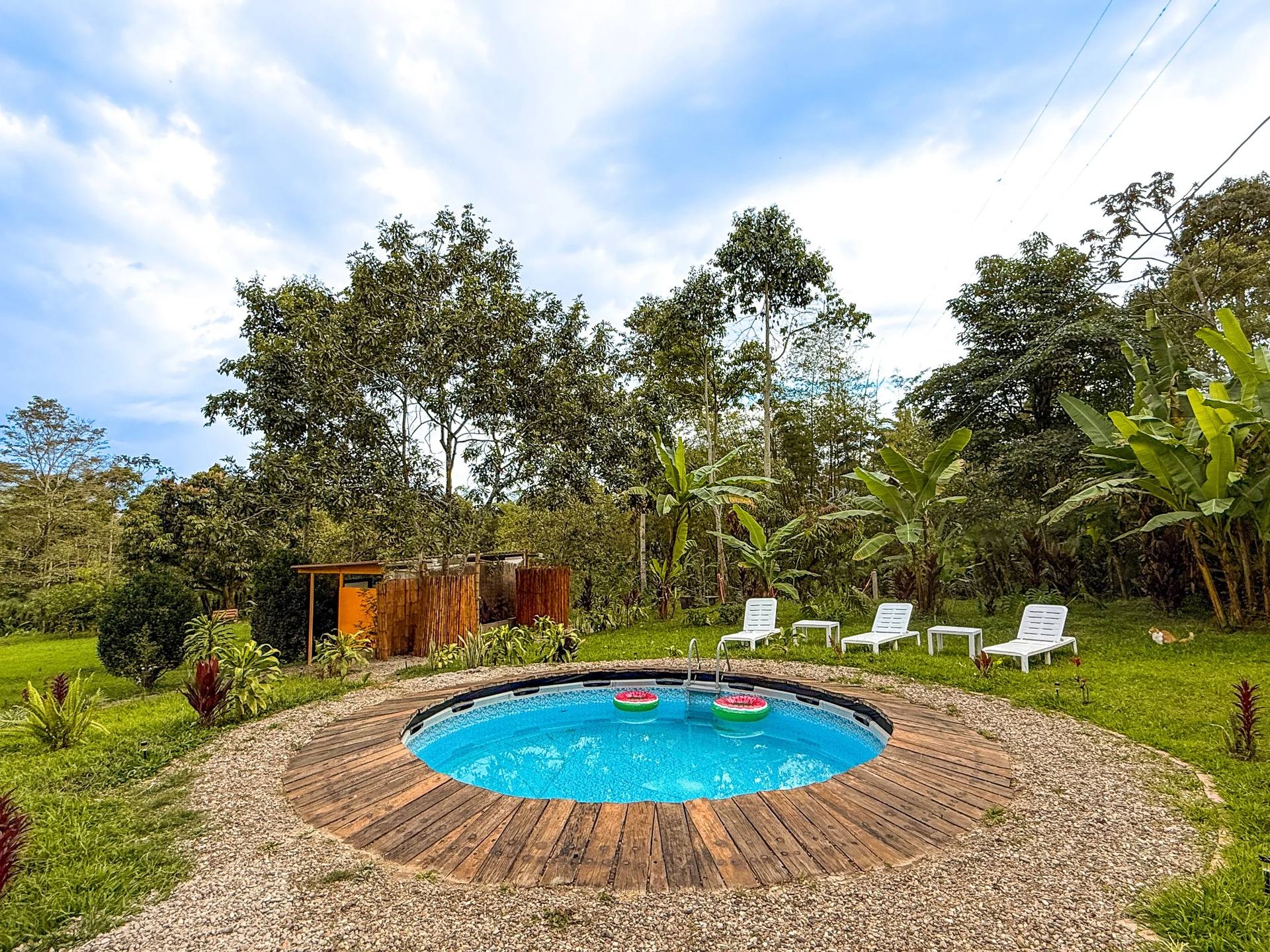 Piscina circular en el jardín con flotadores de sandía, rodeada de césped y plantas, con sillas blancas, árboles altos y cielo nublado en el fondo.