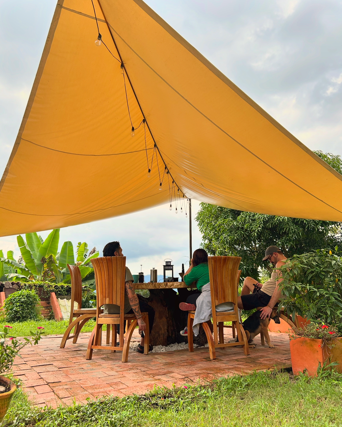 Personas sentadas en una mesa de madera al aire libre bajo una gran lona amarilla, rodeadas de plantas y árboles, con una luz de guirnalda colgando.