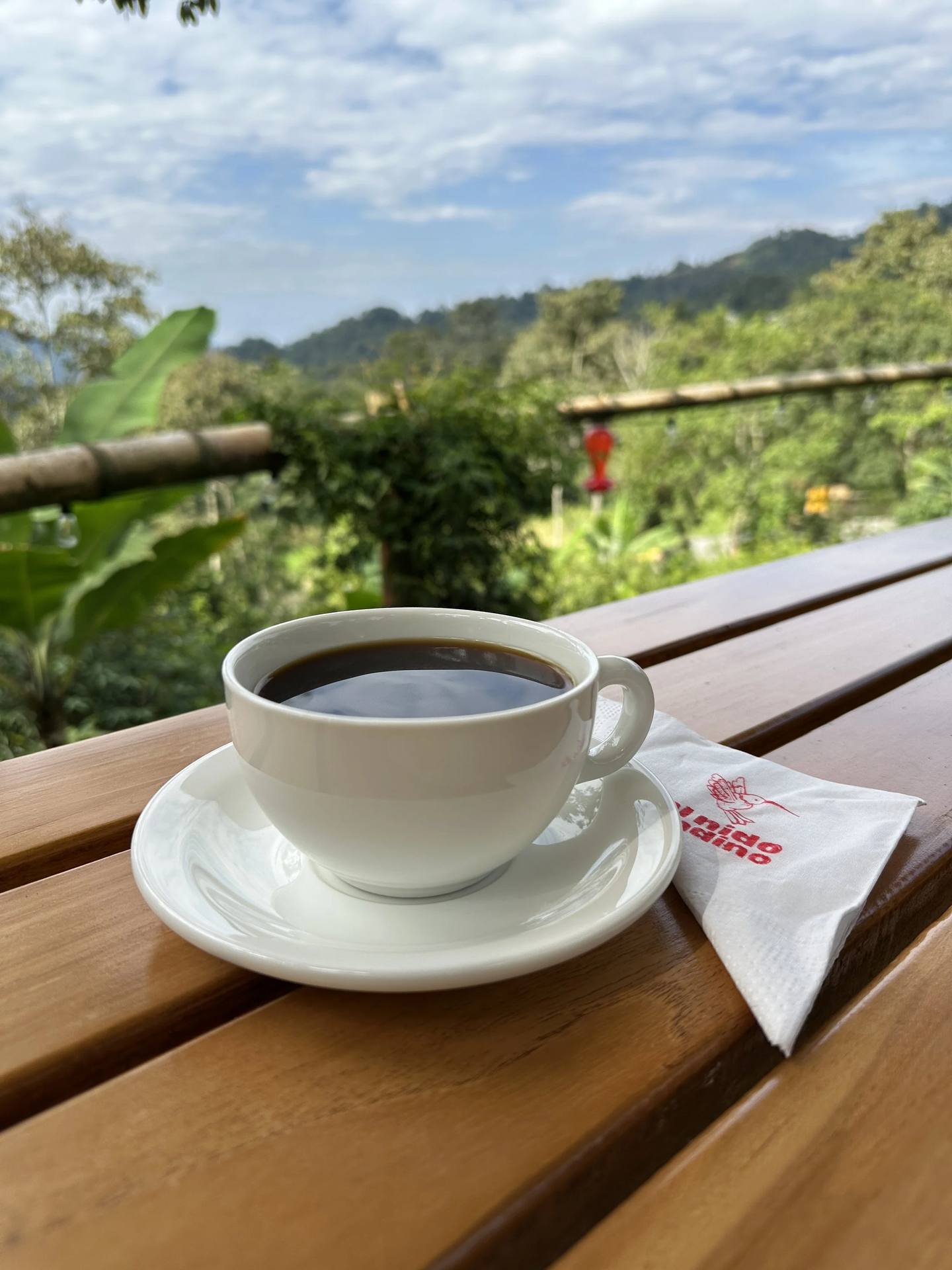 Taza de café negro en una mesa de madera con un fondo de paisaje montañoso y cielo nublado.
