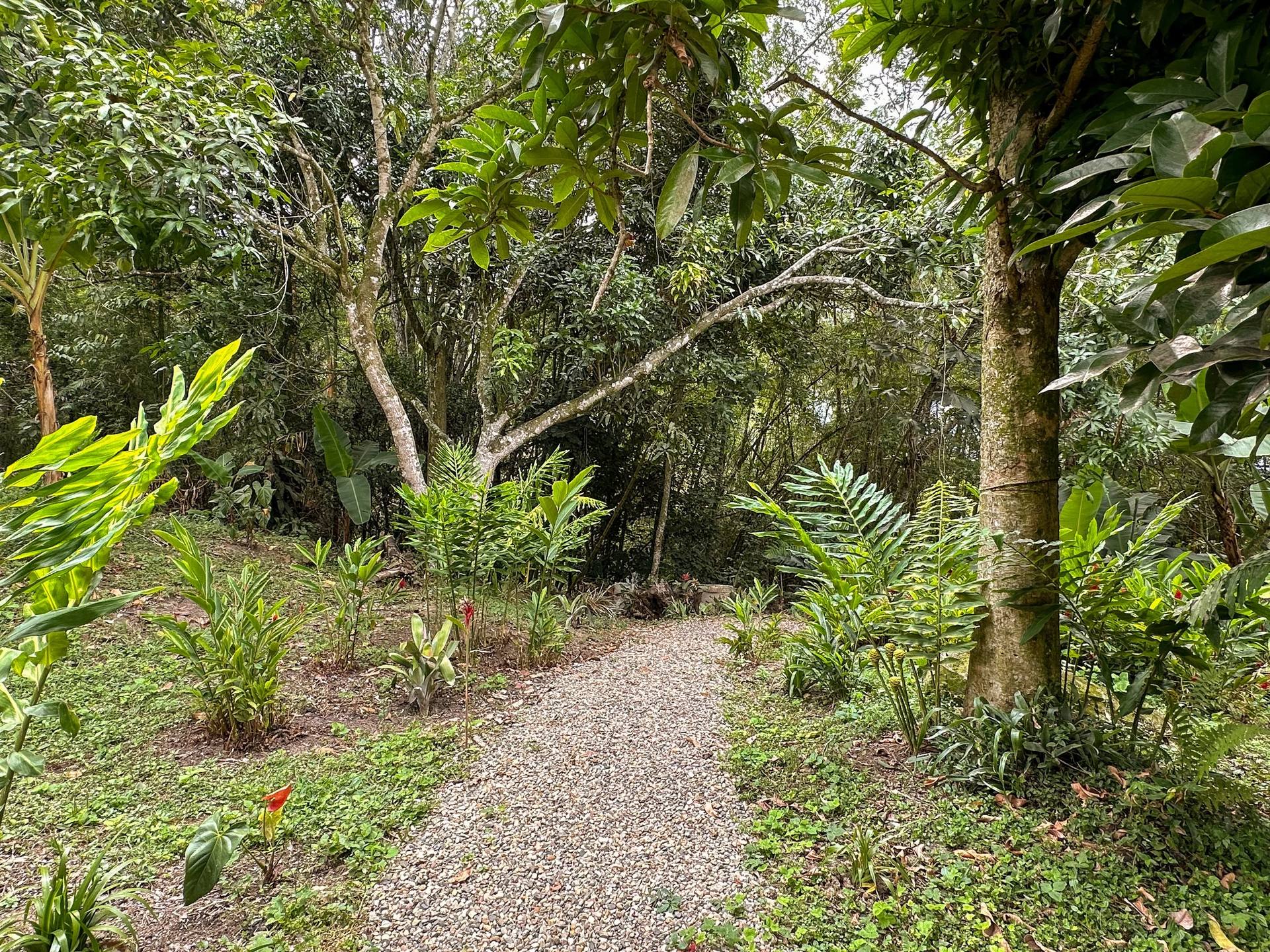 Entorno natural de El Nido Andino, finca cafetera en La Mesa cerca de Bogotá
