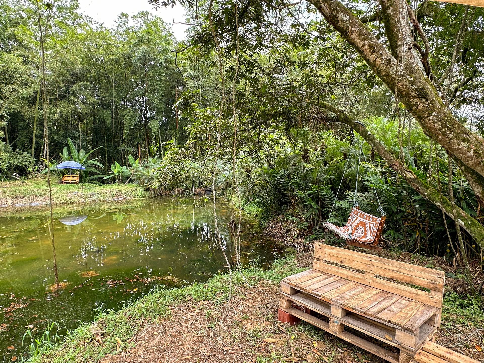 Una escena en un bosque con árboles frondosos y un cuerpo de agua. Hay un banco hecho de palets de madera junto a la orilla del agua y una silla colgante decorada con un patrón otoñal. Un paraguas azul pequeño está abierto en el suelo cerca del agua.