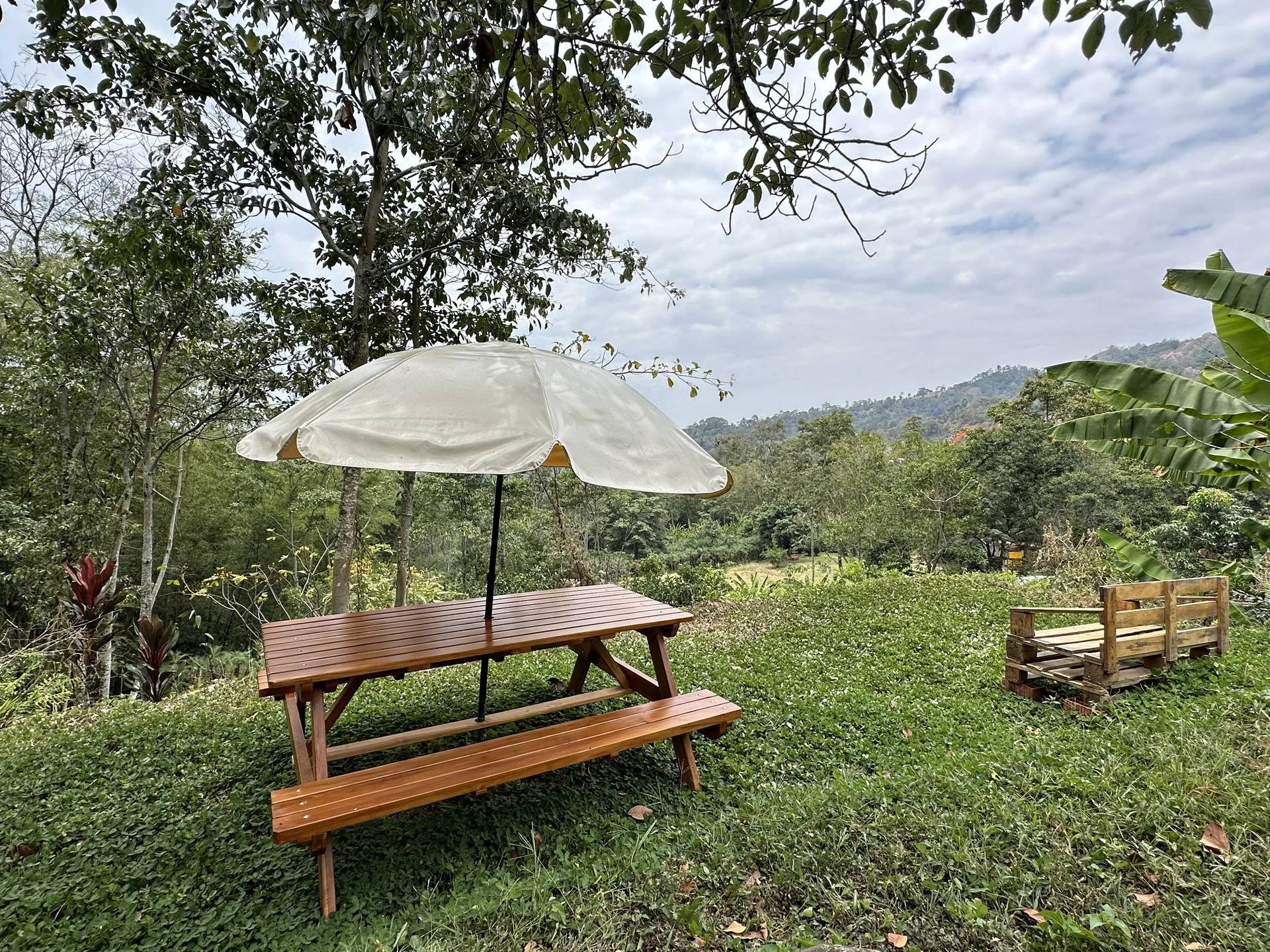 Naturaleza y jardines de El Nido Andino — hotel boutique en La Mesa cerca de Bogotá