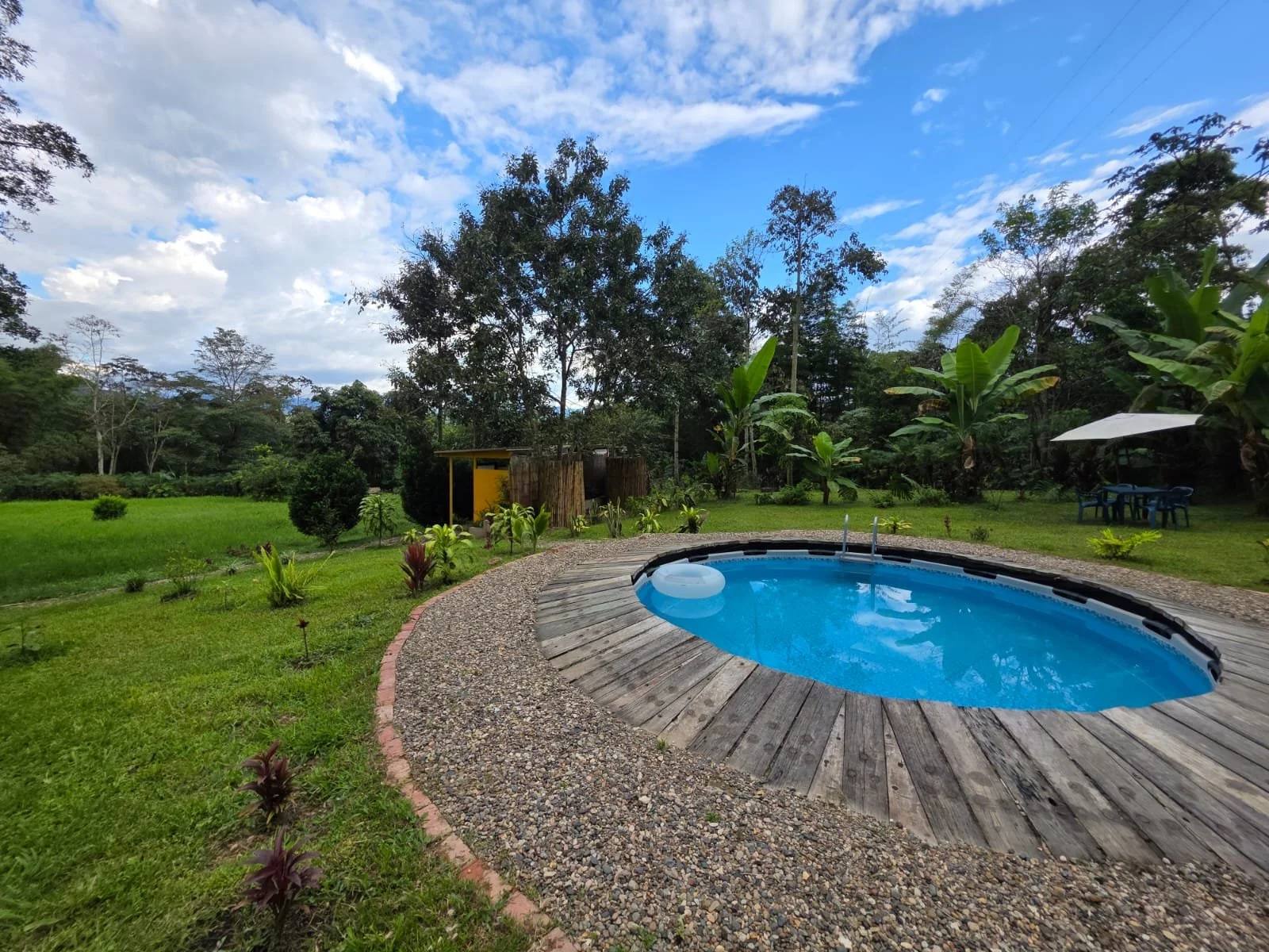Vista de un jardín con césped, árboles grandes, y una alberca ovalada con agua azul, rodeada de madera y piedra. En la esquina derecha hay una mesa con sillas y sombrilla, y en el fondo un pequeño cobertizo amarillo con paredes de madera.