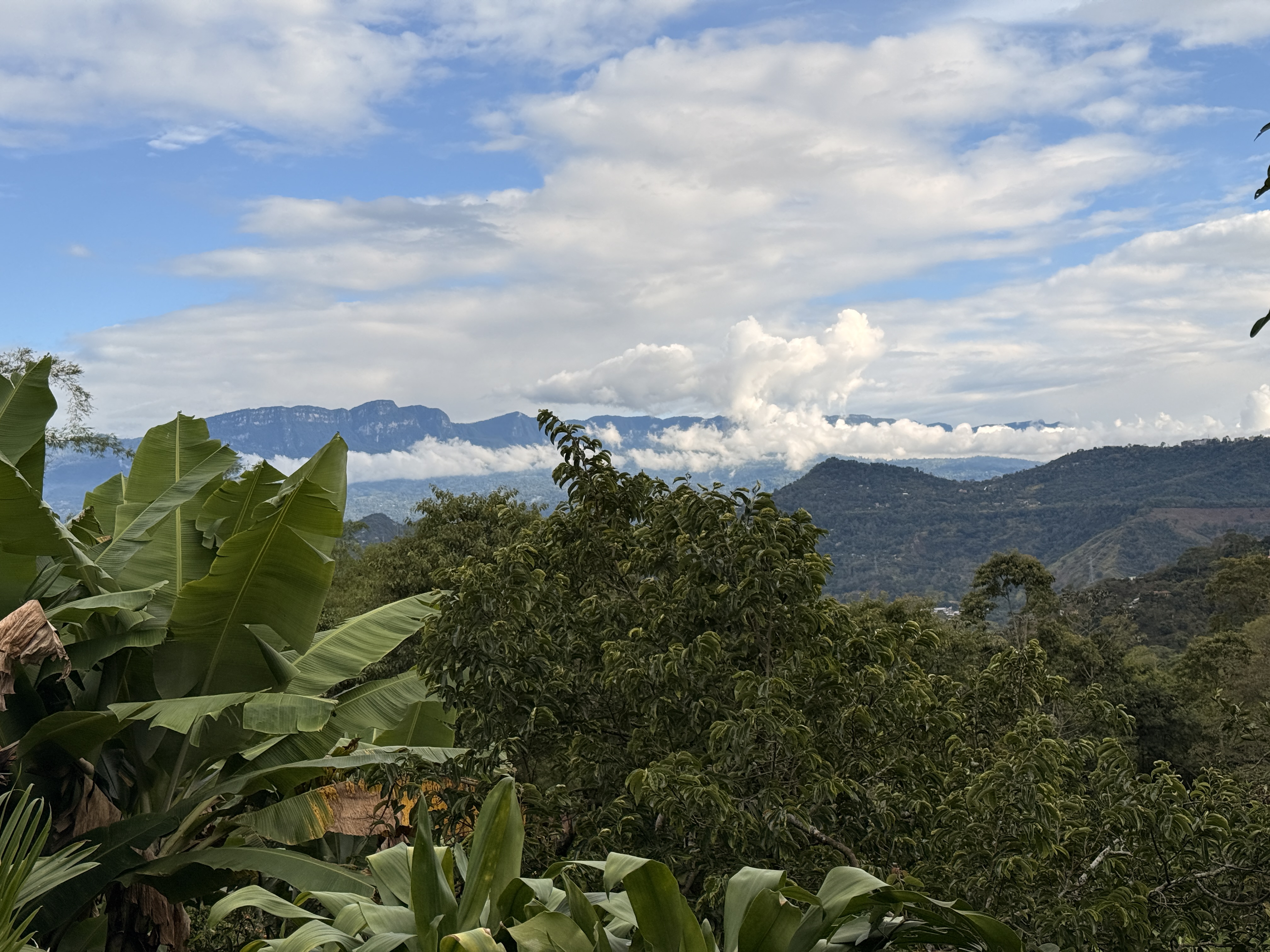 Vista panorámica de los Andes desde El Nido Andino, hábitat de avistamiento de aves en La Mesa, Cundinamarca