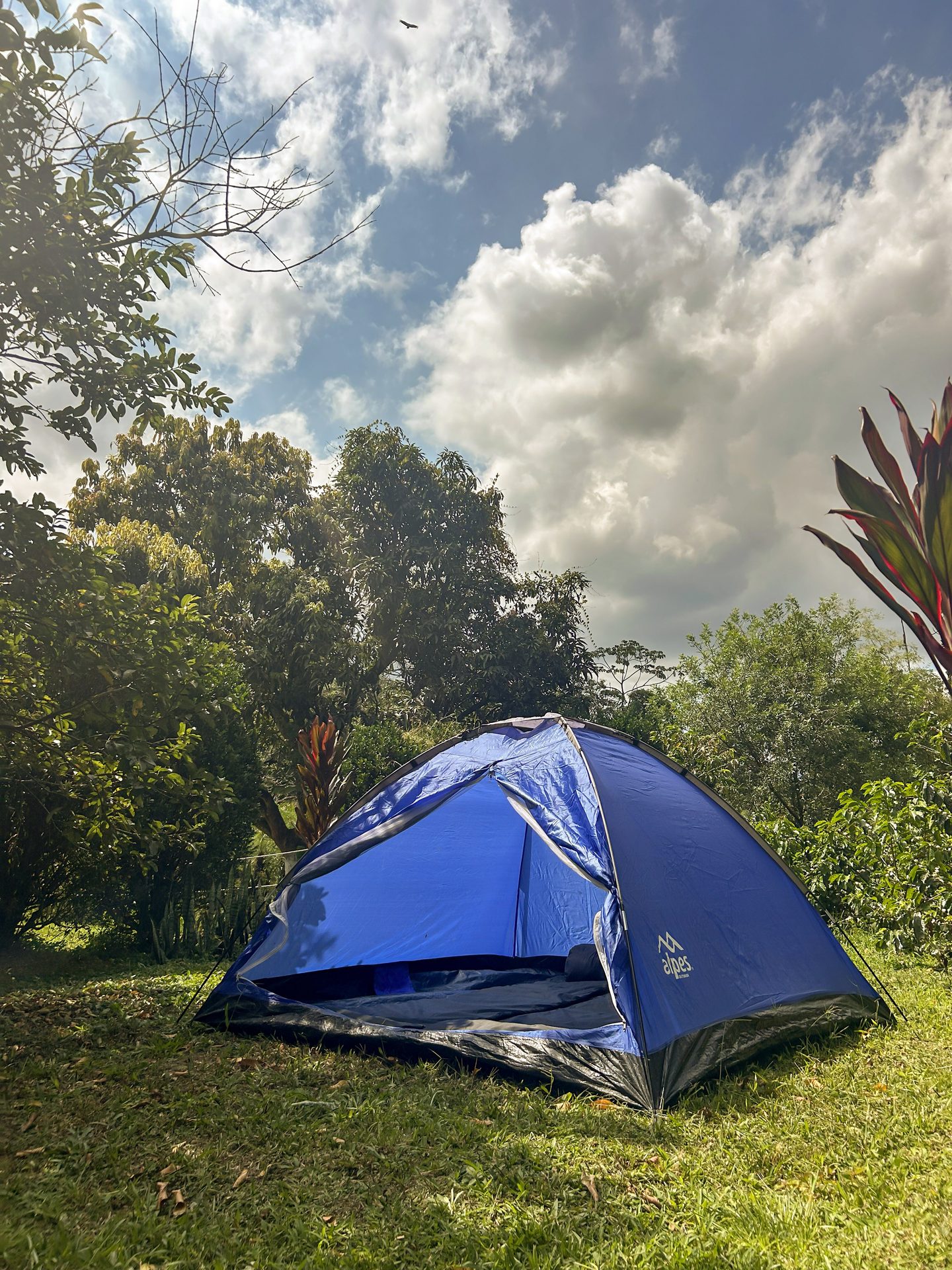 Carpa instalada bajo los árboles en la zona de camping de El Nido Andino, La Mesa