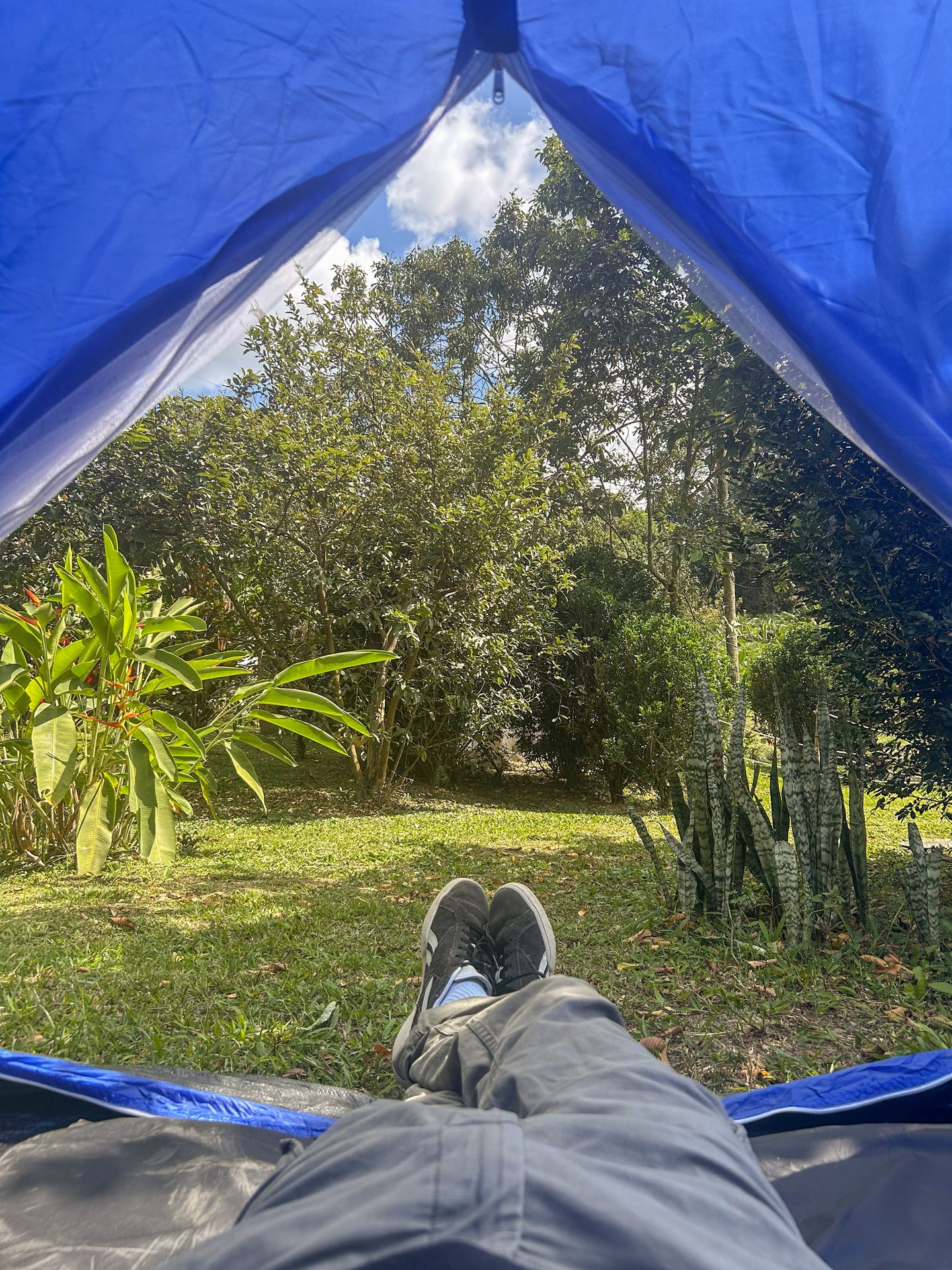 Vista de la naturaleza desde adentro de la carpa en El Nido Andino, camping cerca de Bogotá