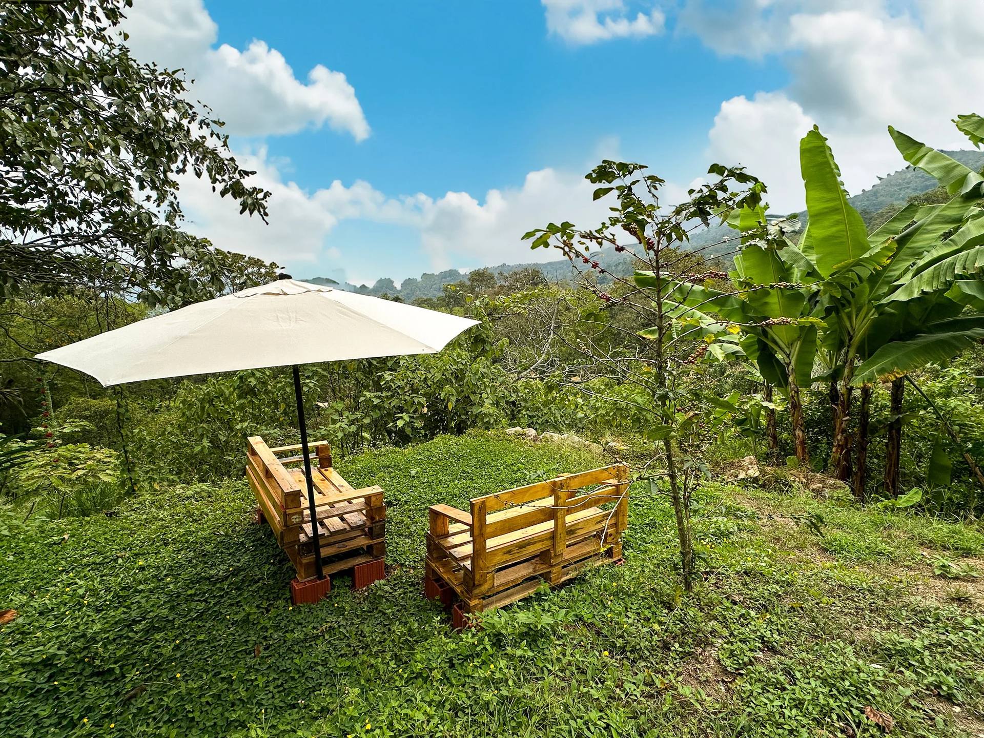 Área de jardín en una zona montañosa con césped, árboles y plantas tropicales. Hay un parasol blanco y pallets de madera apilados para crear mobiliario de exterior.